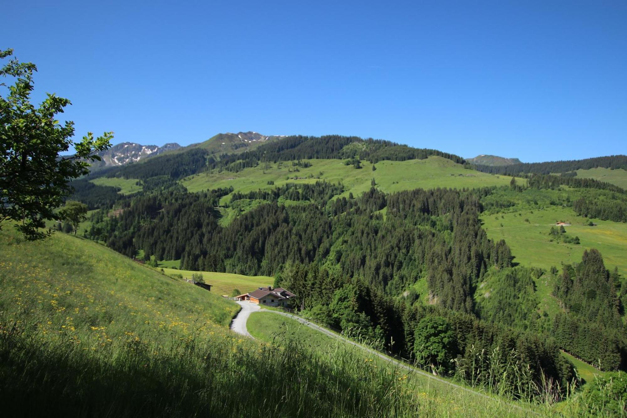 Ferienwohnung Bergpanorama Wild600 Schwarzenau  Zewnętrze zdjęcie